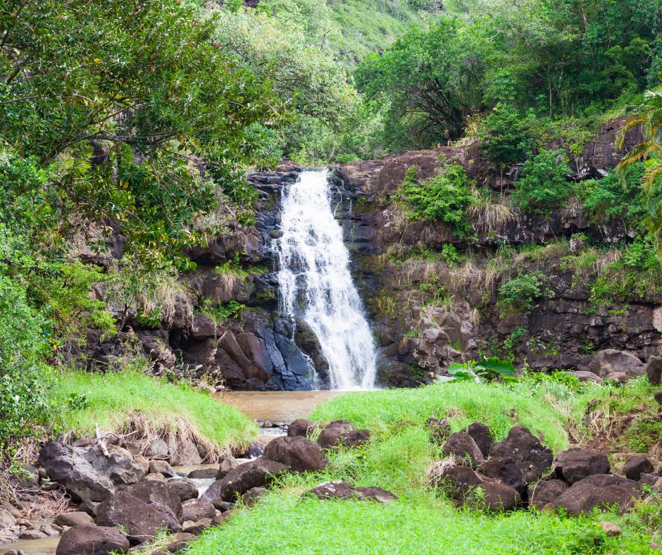 Waimea Valley 