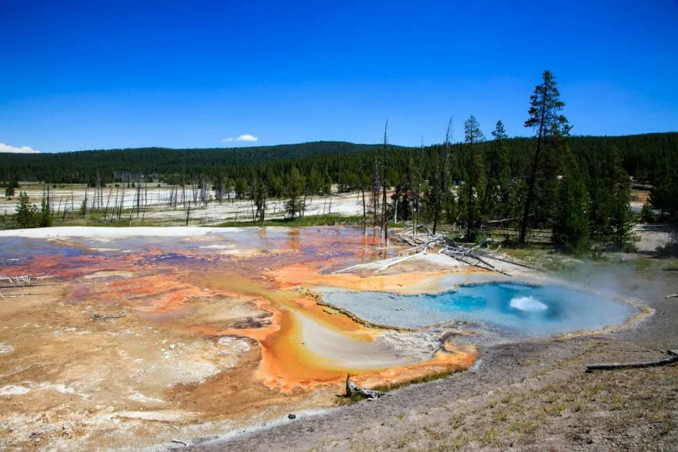 Yellowstone National Park 