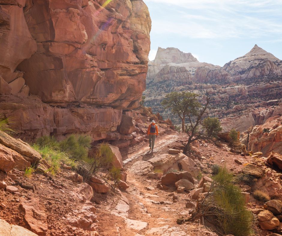 Capitol Reef National Park