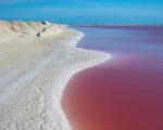 Las Coloradas