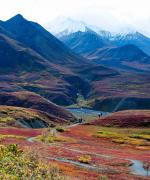 Mount Denali i farver