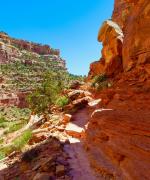 Capitol Reef National Park Grand Wash